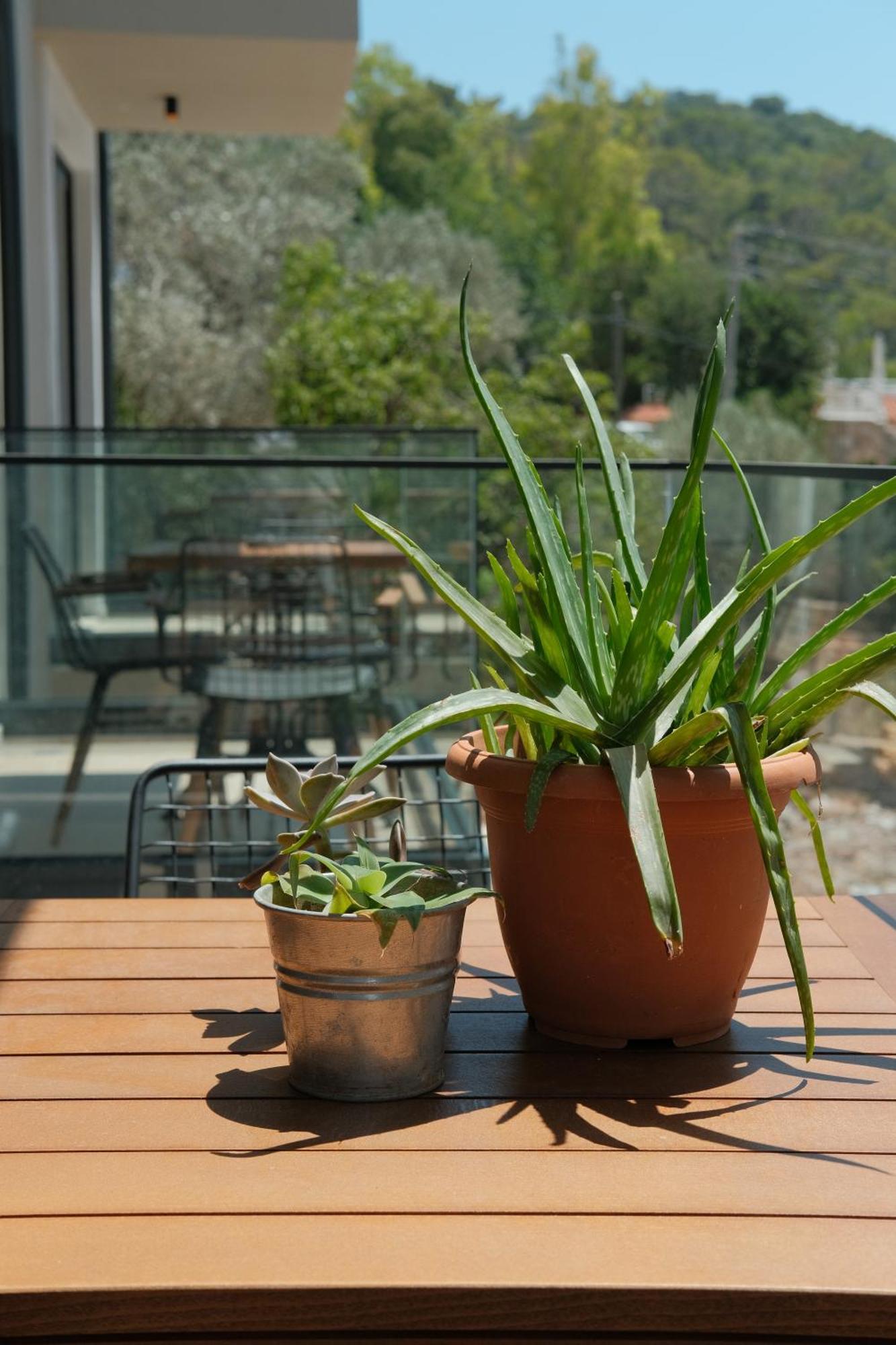Kaktus Suites Kaş Ngoại thất bức ảnh