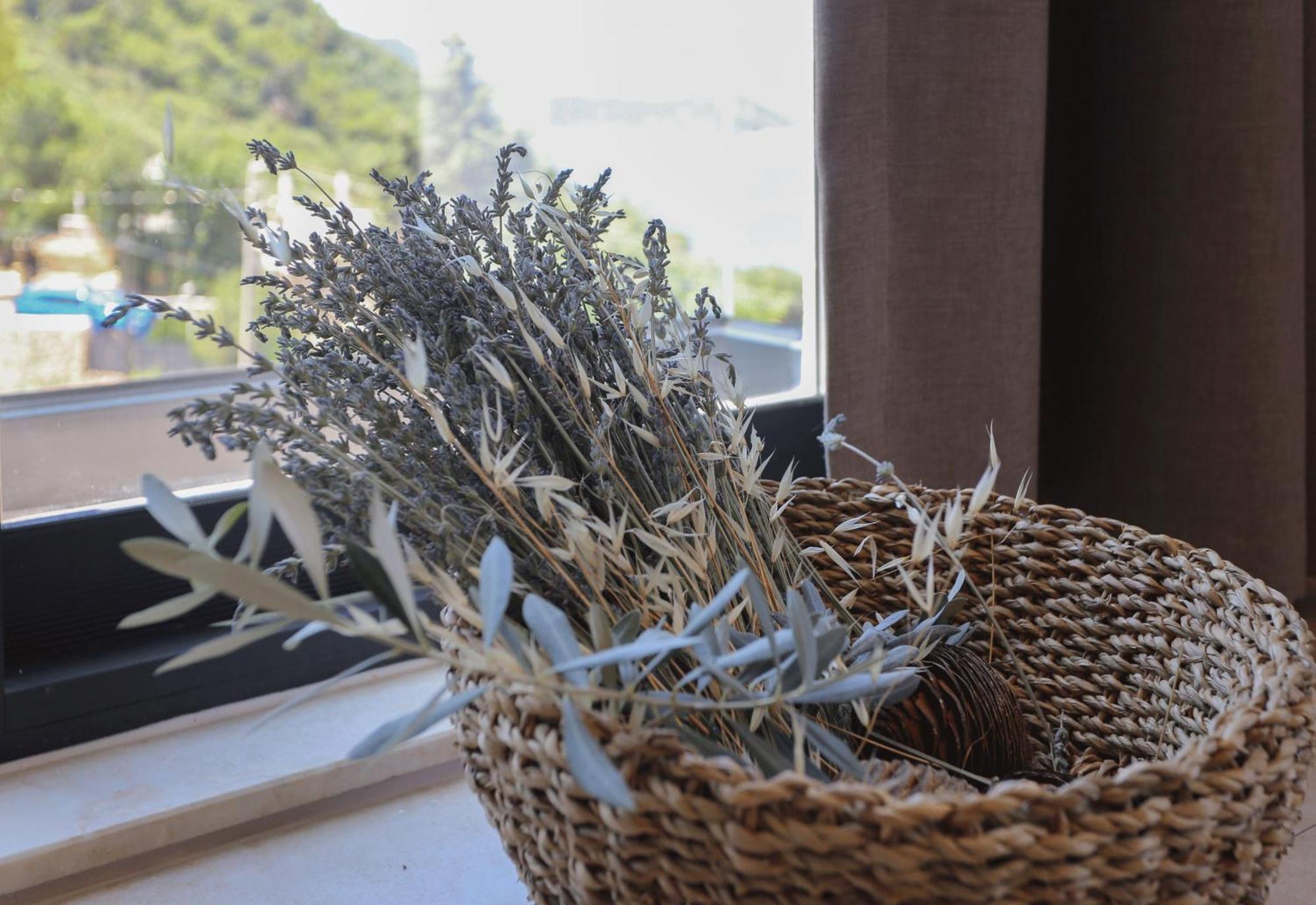 Kaktus Suites Kaş Ngoại thất bức ảnh